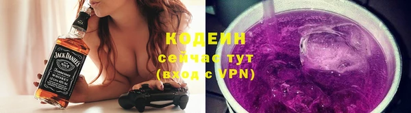 сатива Инта