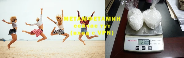 сатива Инта