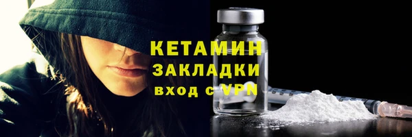 сатива Инта