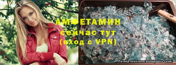сатива Инта
