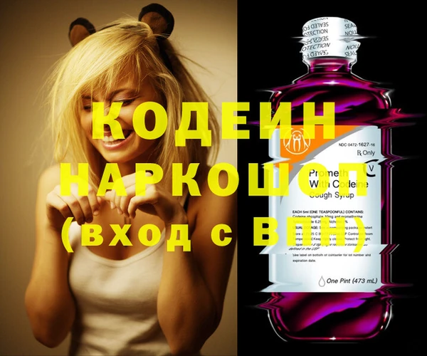 сатива Инта