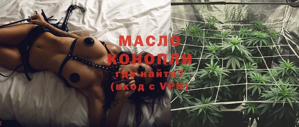 сатива Инта