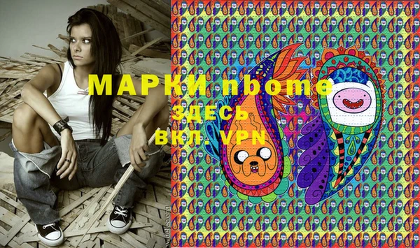 сатива Инта