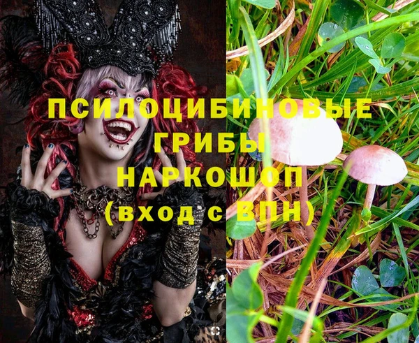 a pvp Инсар