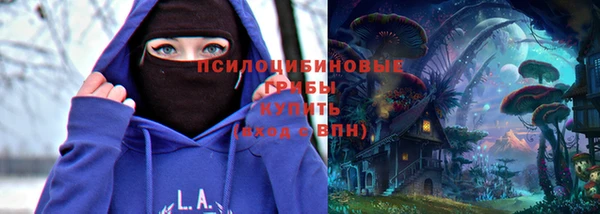 a pvp Инсар